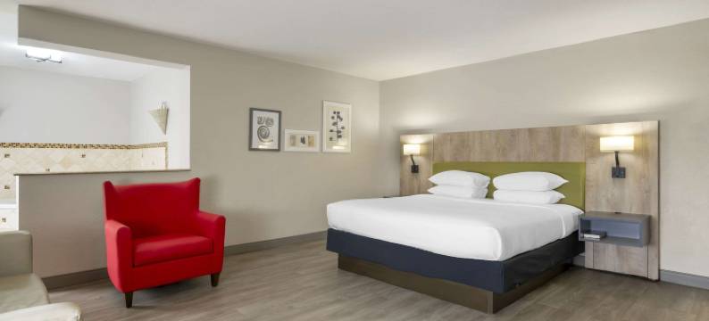 坦帕机场北丽怡酒店(Country Inn & Suites by Radisson, Tampa Airport North, FL)图片