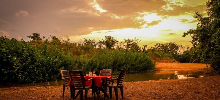 马胡阿托拉塔多巴(Mahua Tola Tadoba)图片