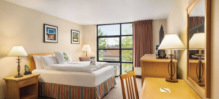 Staypineapple-大学旅馆-西雅图大学区(Staypineapple, University Inn, University District Seattle)图片