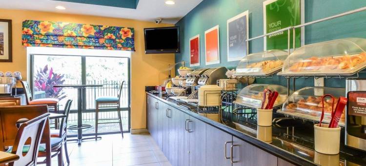 舒适套房酒店-坦帕布兰登(Comfort Suites Tampa - Brandon)图片