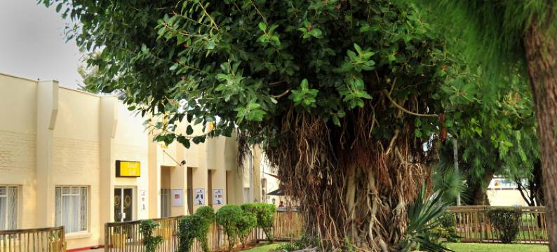 克里斯塔波特萨洛酒店(Cresta Botsalo Hotel)图片