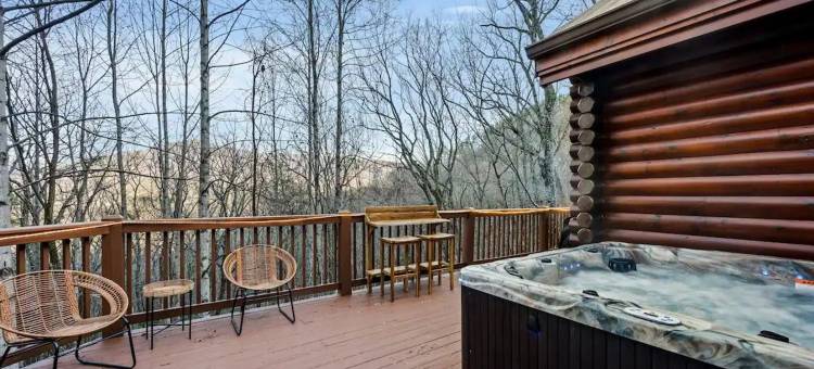 高端豪华小屋 桑拿 热水浴缸 游戏室(Round Top Way Cabin by Beyond Expectations)图片