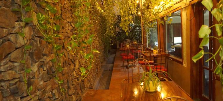 树屋酒店(Hotel Casa del Arbol)图片