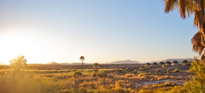 棕榈营地2Go(Palmwag Camping2Go)图片