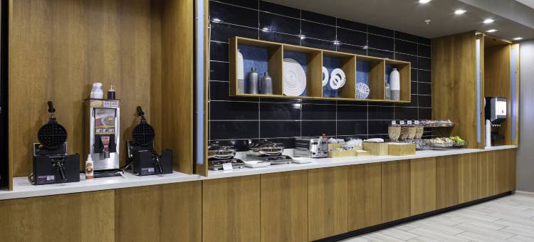 亚特兰大阿尔普哈雷塔/罗斯威尔万豪SpringHill Suites酒店(SpringHill Suites Atlanta Alpharetta/Roswell)图片