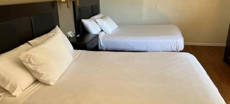 华丽旅馆和套房(Posh Inn & Suites)图片