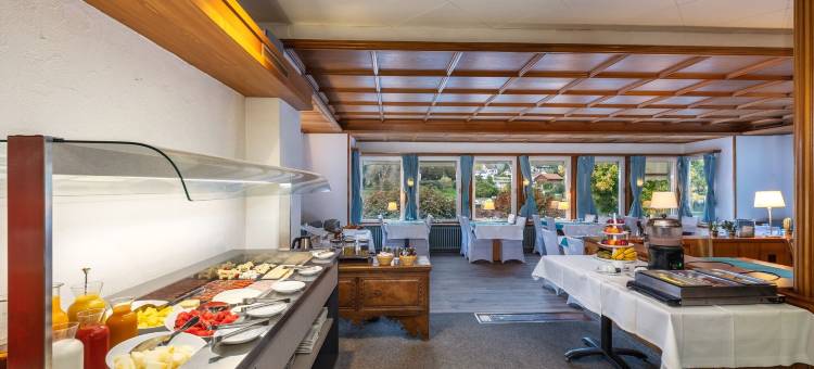 莱因格贝(Hotel Rheingerbe)图片