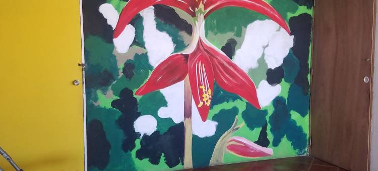 享受巴亚以塔港19 号青年旅舍(Hostel Enjoy Vallarta 19)图片