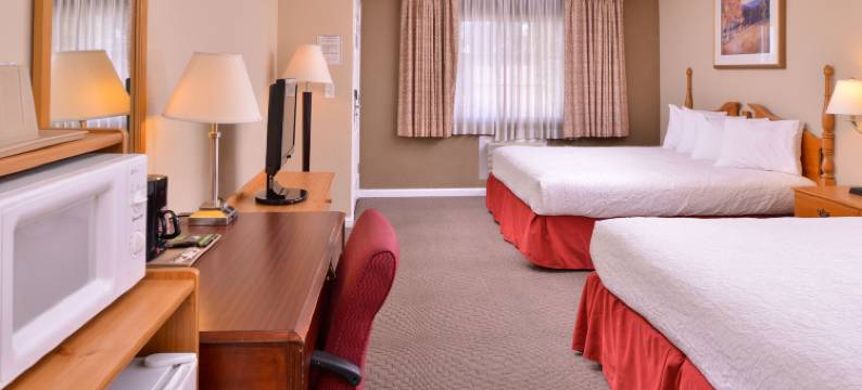 玛夫里克汽车旅馆(Maverick Motel - Modern Renovated Motel)图片