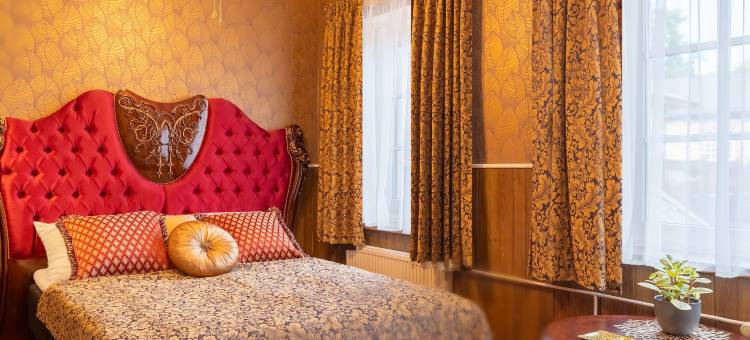 汉莎酒店(Hansa Hotel)图片