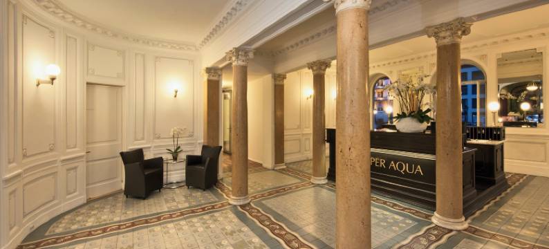 巴登利马索夫Spa酒店(Limmathof Baden - Historisches Haus & Spa)图片