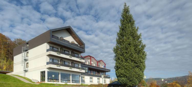 索娜伯格瓦尔德酒店(Waldhotel Sonnenberg)图片