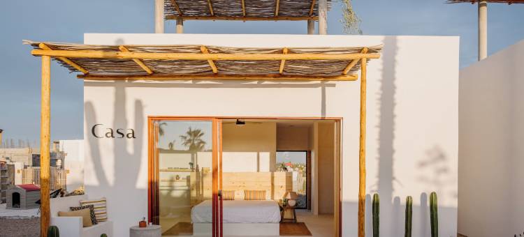 CASA BLANCO MADERA (限成人)(CasaBlancoMadera)图片