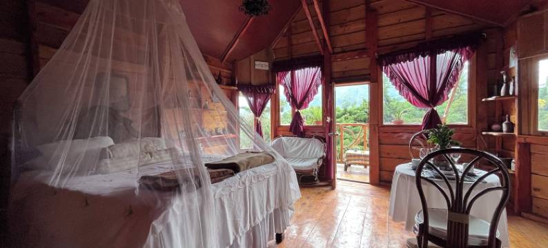 洛斯纳兰霍斯度假屋(Los Naranjos Town Houses)图片