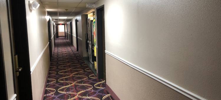 纳奇托且斯温德姆速8酒店(Super 8 by Wyndham Natchitoches)图片