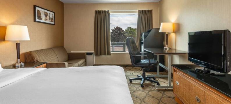 蒂明斯舒适酒店(Comfort Inn Timmins)图片