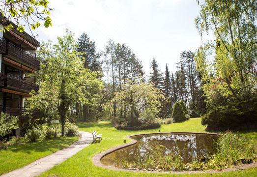 VitalHotel Ascona Hotel Overview