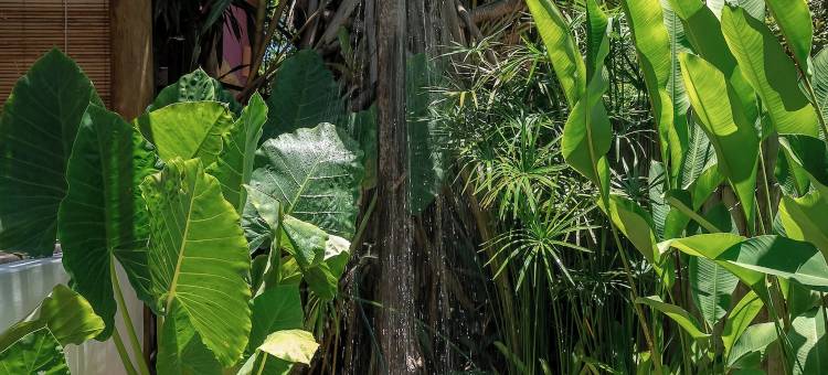 诺萨卡拉伊瓦别墅(Nossa Villa Caraíva)图片