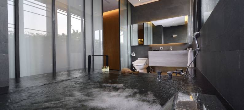 台中日光温泉会馆图片