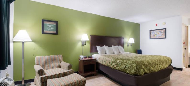 东诺克斯维尔伊克诺旅馆及套房(Econo Lodge Inn & Suites East)图片