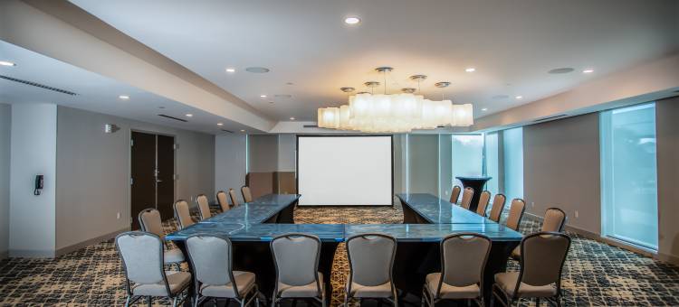 西棕榈滩I95 畅货中心希尔顿花园酒店(Hilton Garden Inn West Palm Beach I95 Outlets)图片