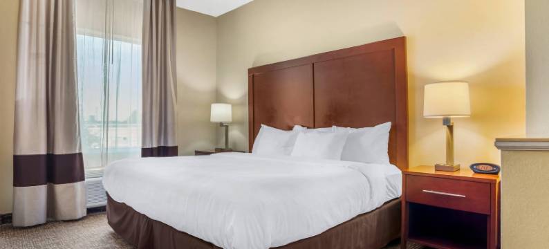 蒙哥马利东蒙蒂塞洛舒适套房酒店(Comfort Suites Montgomery East Monticello Dr)图片