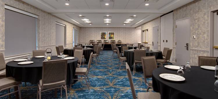 底特律地铁机场希尔顿花园客栈酒店(Hilton Garden Inn Detroit Metro Airport)图片