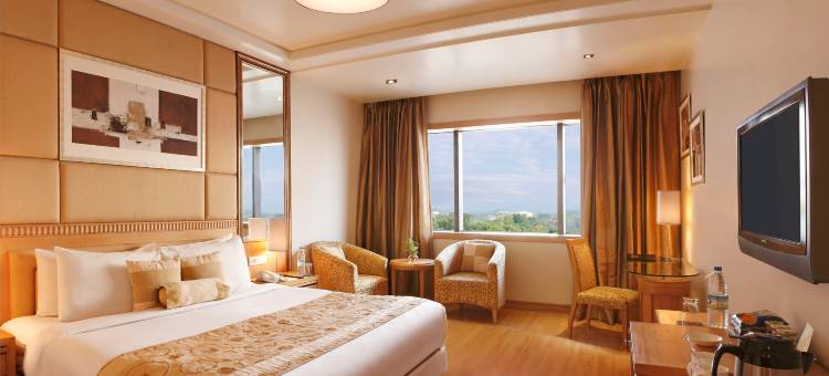 齐普尔柠檬树尊贵酒店(Lemon Tree Premier, Jaipur)图片