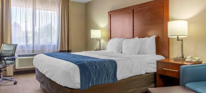 阿尔伯克基机场舒适酒店(Comfort Inn Albuquerque Airport)图片