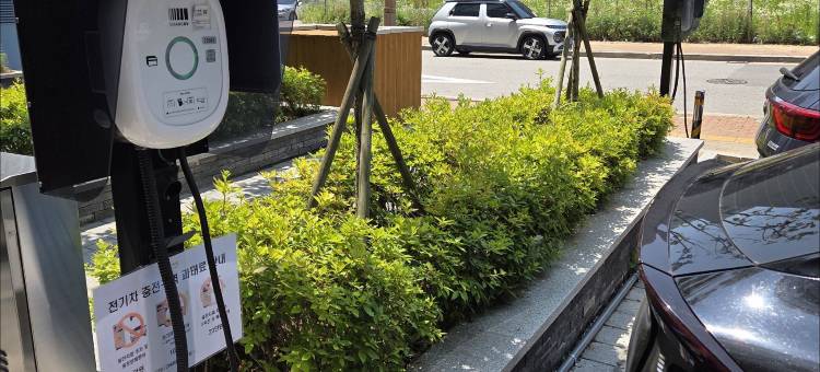 永宗里维埃拉酒店(Riviera Hotel Yeongjong)图片