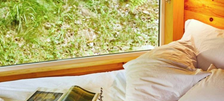 霍金山的明信片小屋，万豪旅享家户外系列(Postcard Cabins Hocking Hills)图片