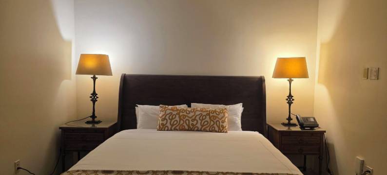 拉雷纳广场酒店(Plaza la Reina)图片