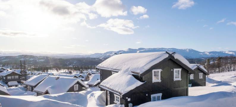 朗兰度假中心酒店(Rauland Feriesenter)图片