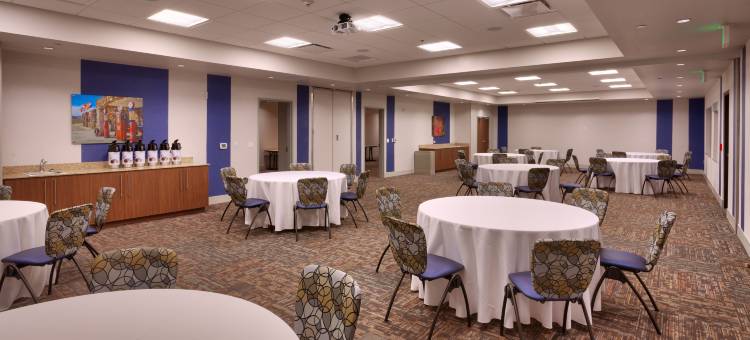 智选假日套房酒店-菲尼克斯西/巴克艾(Holiday Inn Express & Suites Phoenix West - Buckeye)图片