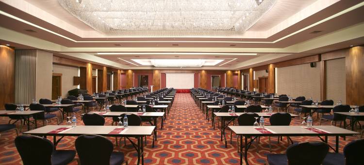 安卡拉海葵酒店(Anemon Kent Ankara Otel)图片