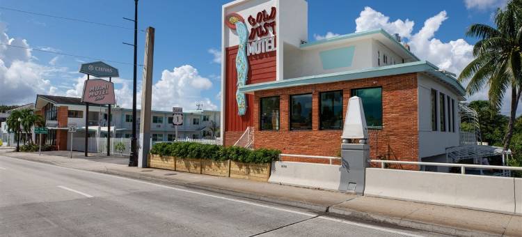 Selina Gold Dust图片