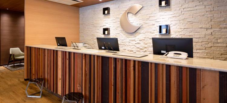 奈良舒适酒店(Comfort Hotel Nara)图片