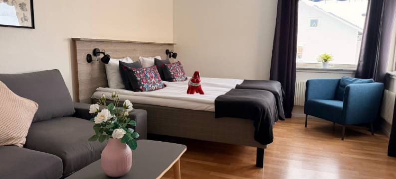 弗里德海姆斯加坦城市住宿(Fridhemsgatan City Stay)图片