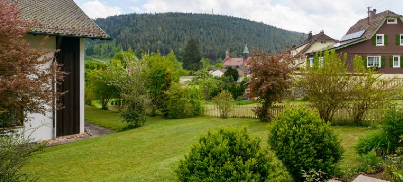 斯瓦兹瓦尔德希弗酒店(Hotel Schwarzwald Schäfer)图片