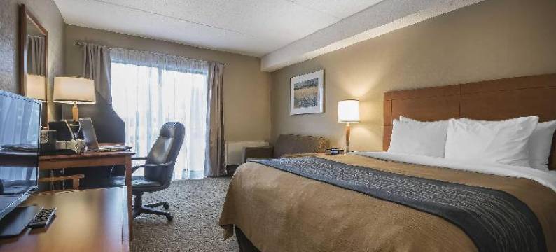 舒适酒店(Comfort Inn)图片