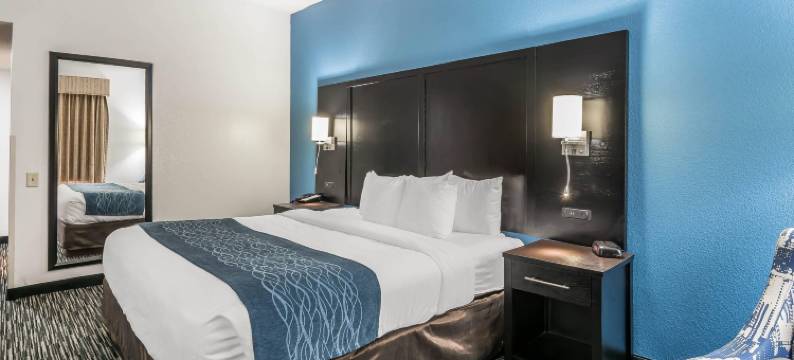 盖恩斯维尔大学舒适酒店(Comfort Inn University)图片