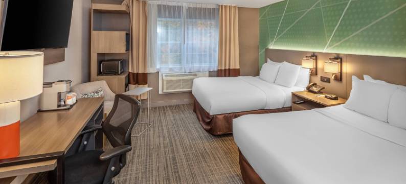 舒适酒店(Comfort Inn)图片