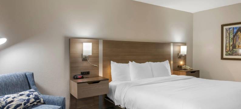 温泉城中城舒适套房酒店(Comfort Inn & Suites Hot Springs Midtown)图片