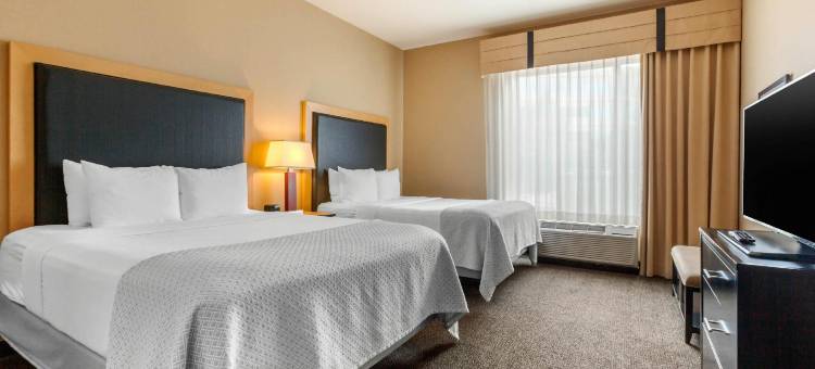 丹佛国际机场坎布里亚酒店(Cambria Hotel Denver International Airport)图片