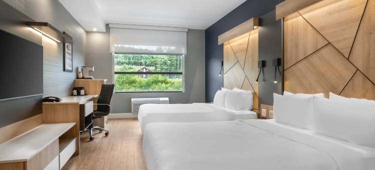 品质酒店及会议中心(Quality Hotel & Conference Centre)图片