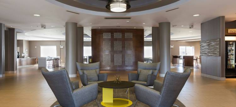 夏洛特巴兰坦万豪SpringHill酒店(SpringHill Suites Charlotte Ballantyne)图片