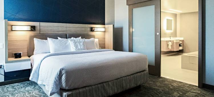 萨默塞特县Franklin Township SpringHill Suites酒店(SpringHill Suites Somerset Franklin Township)图片