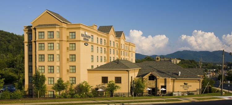 Homewood Suites by Hilton阿什维尔-隧道路(Homewood Suites by Hilton Asheville-Tunnel Road)图片