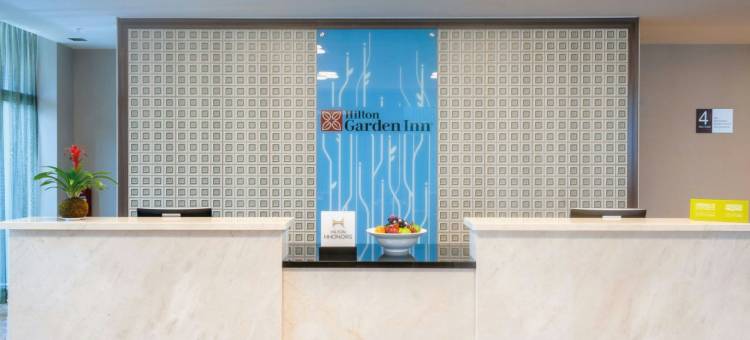 利马苏尔希尔顿花园酒店(Hilton Garden Inn Lima Surco)图片