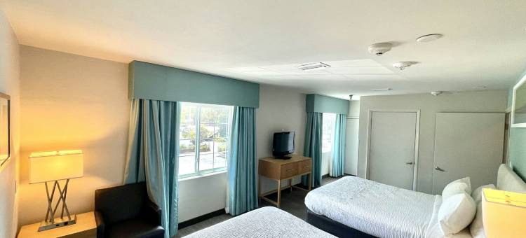坦帕红屋顶普拉斯套房酒店(Red Roof PLUS+ & Suites Tampa- Busch Gardens)图片